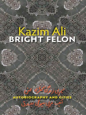 cover image of Bright Felon